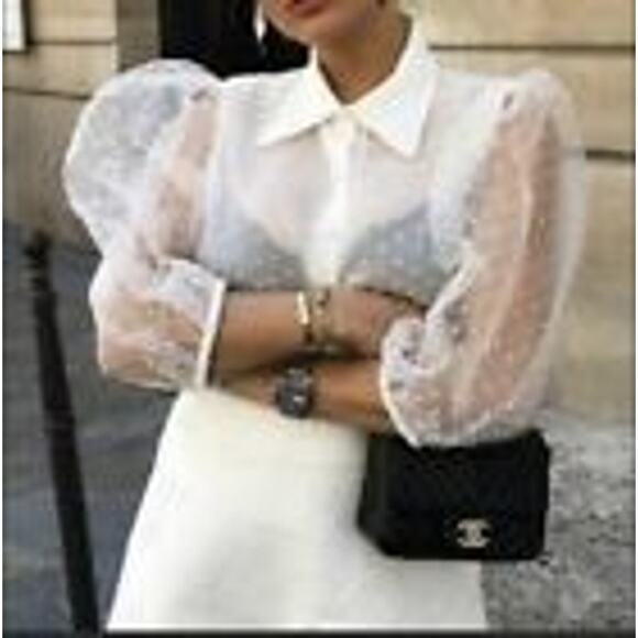 Zara White Organza Puff Sleeve Polka Swiss Dot Semi Sheer Blouse XS - Picture 2 of 14